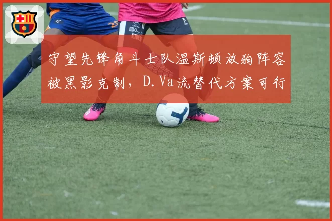 守望先锋角斗士队温斯顿放狗阵容被黑影克制，D.Va流替代方案可行性？