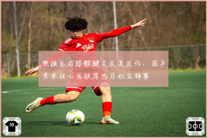 樊振东右膝髌腱炎反复发作，国乒男单核心或缺席九月初亚锦赛