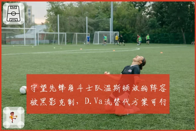守望先锋角斗士队温斯顿放狗阵容被黑影克制,D.Va流替代方案可行性?