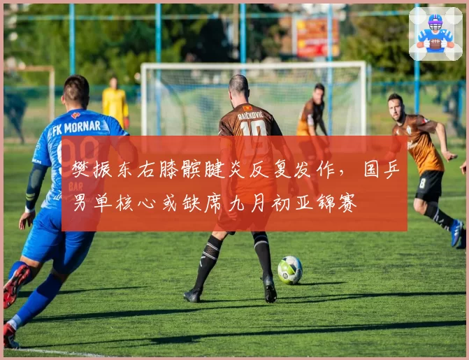 樊振东右膝髌腱炎反复发作，国乒男单核心或缺席九月初亚锦赛
